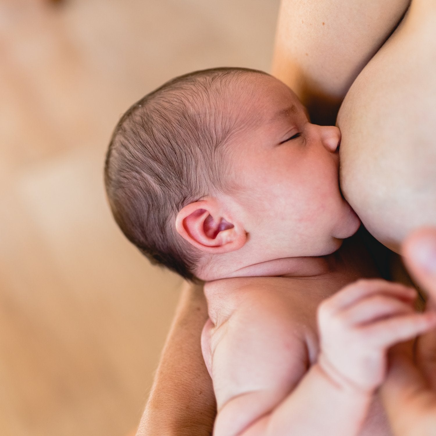 Discos Lactancia Reutilizables ImseVimse - Belly&Baby
