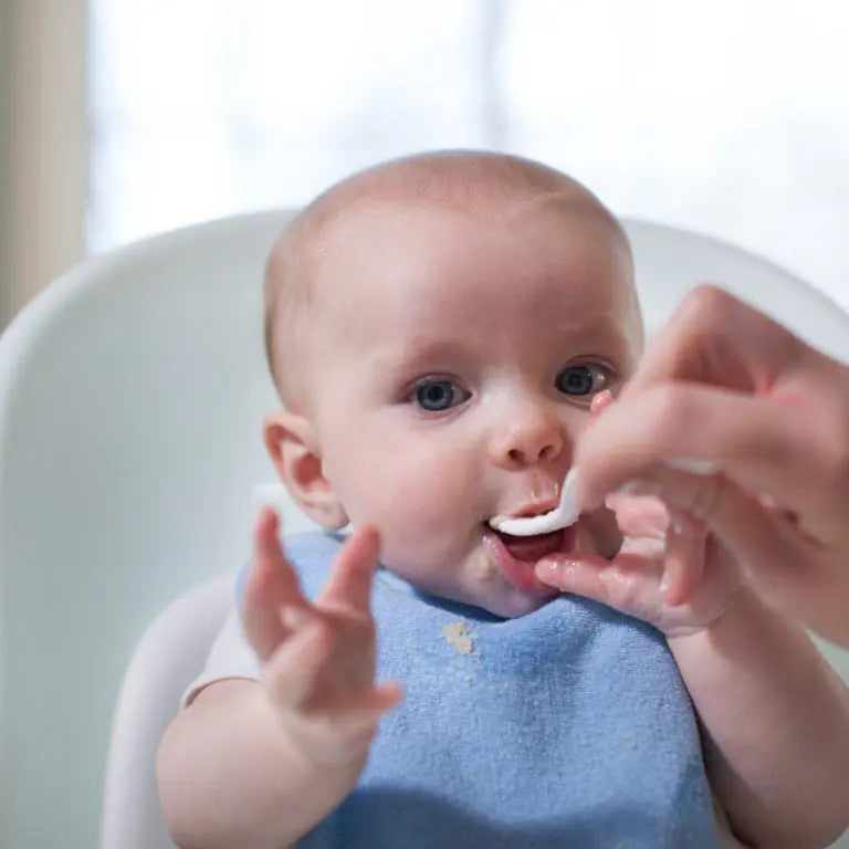 Set x 4 Und. de Cucharas Largas con Borde  de Espátula para 6 Meses a + Dr. Brown's Tortuguita Baby Store